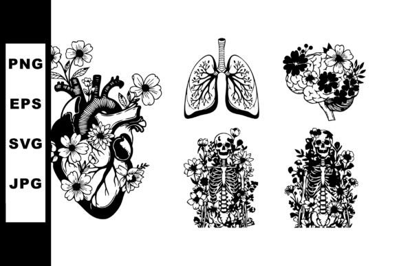 Anatomical Heart Lungs Skeleton Art