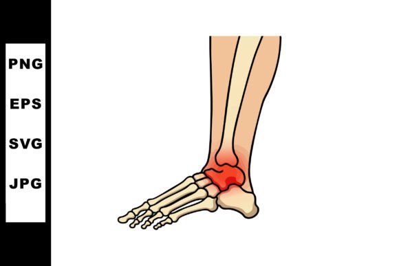 Anatomical Human Ankle Joint: Embroidery Design Review