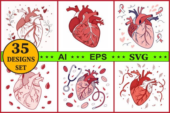 Realistic Human Heart Vector Clipart Set: A Designer's Review